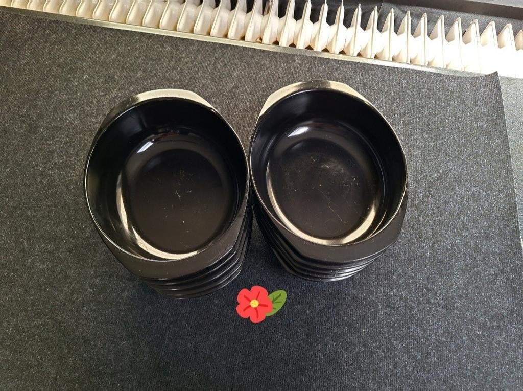 10 stevige schalen voor barbecue, pasta, rijst, fruit, salad, Huis en Inrichting, Ophalen