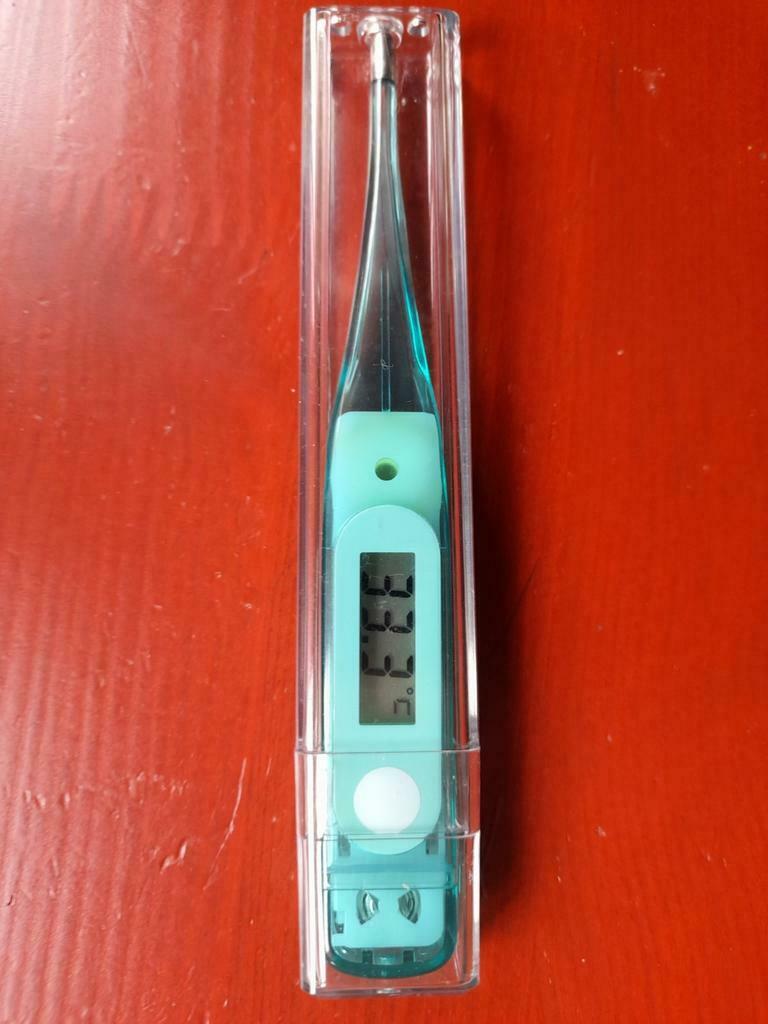 Thermomètre électronique TAÏWAN, comme neuf, Maison & Meubles, Enlèvement ou Envoi, Comme neuf