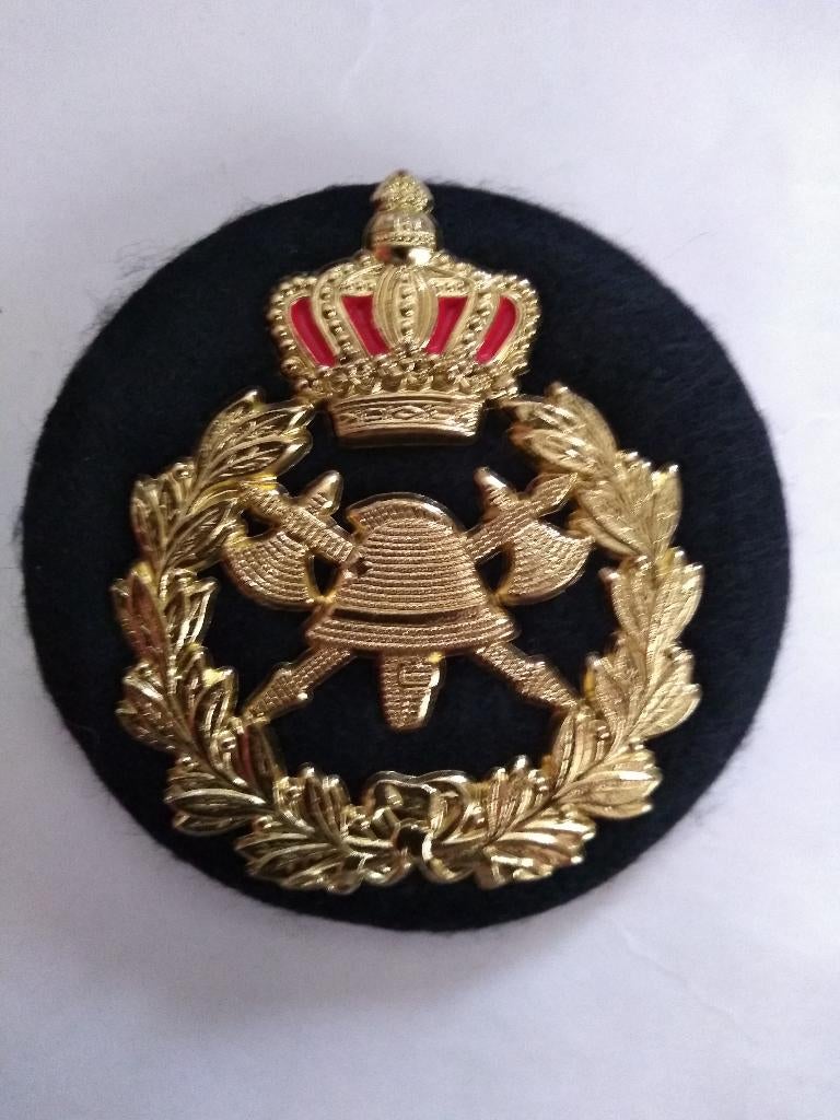Ecusson pompier, Collections, Enlèvement, Autres