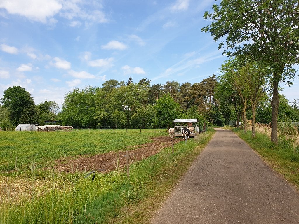 Recreatiechalet te koop in regio lichtaart, Chalet, Ventes sans courtier, Turnhout