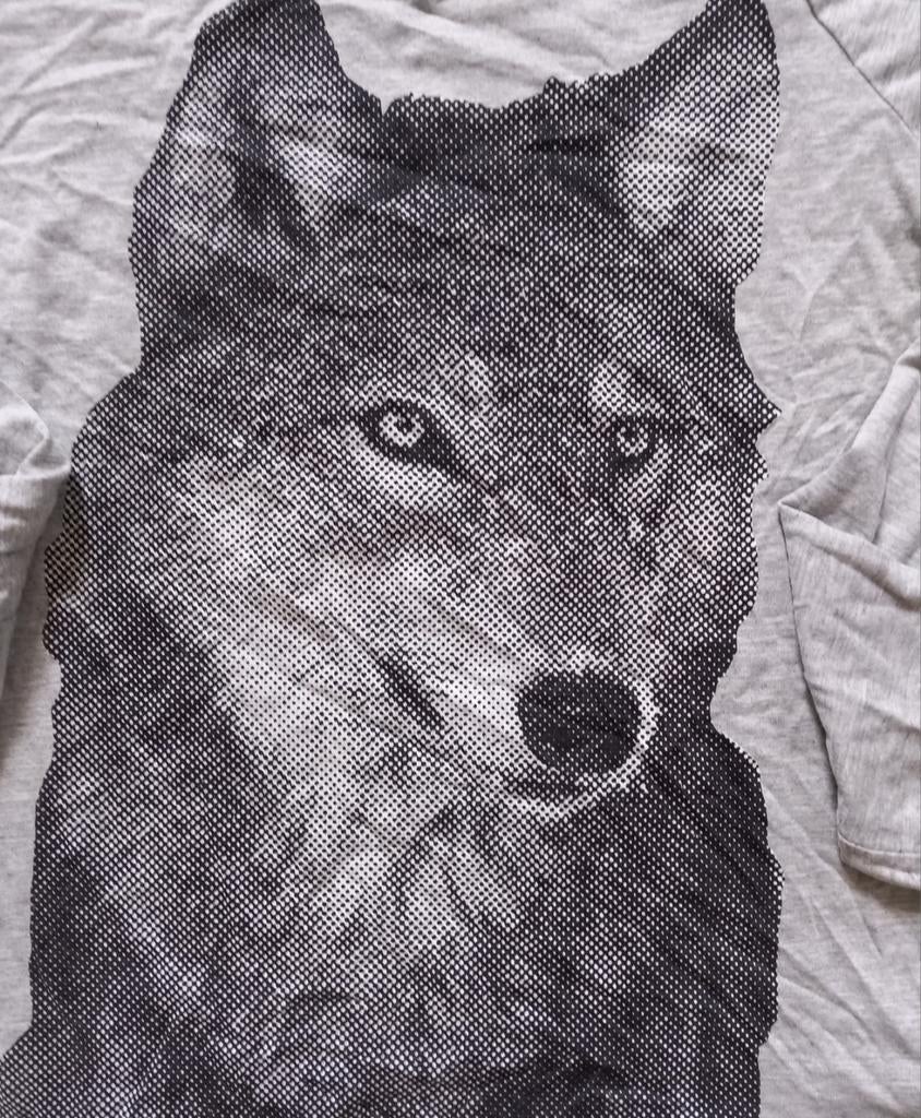 Longsleeve met wolf op - maat 164 -> 2€, Kinderen en Baby's, Kinderkleding | Maat 164, Ophalen, Zo goed als nieuw, Shirt of Longsleeve