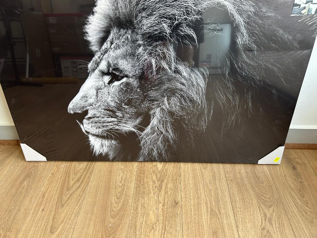 Toile imprimée Lion - neuve, Enlèvement