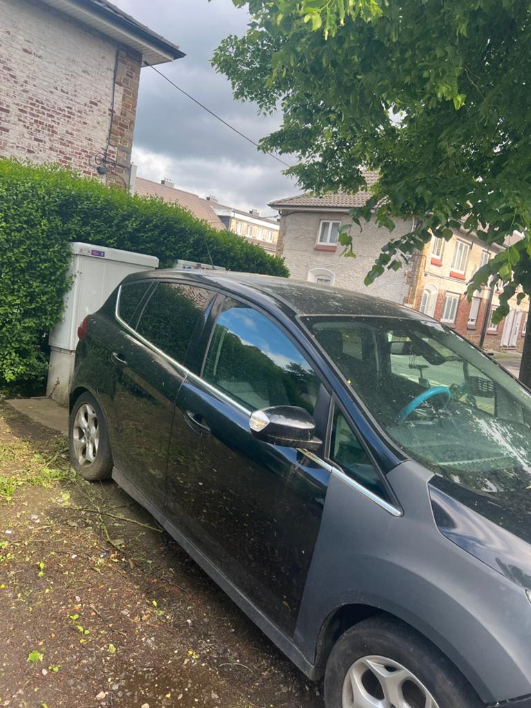 Ford c max, Autos, 0 kg, Achat, Beige, 5 portes