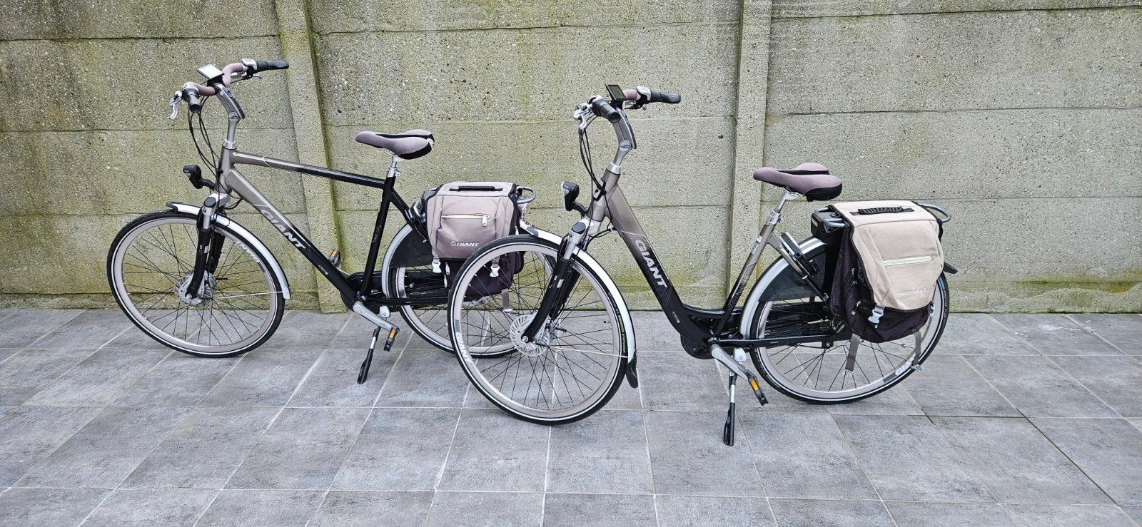 2 Prachtige Elektrische Giant Twist Go Double Fietsen, Fietsen en Brommers, Ophalen, Zo goed als nieuw, Giant