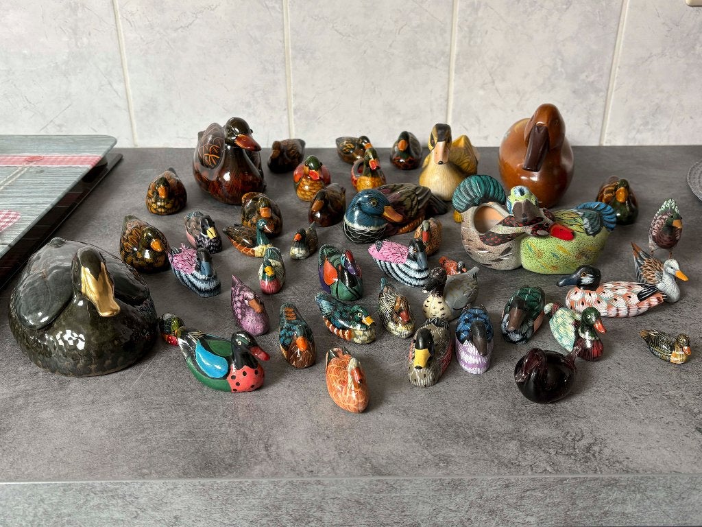 lot de canards, Enlèvement, Comme neuf, Animal