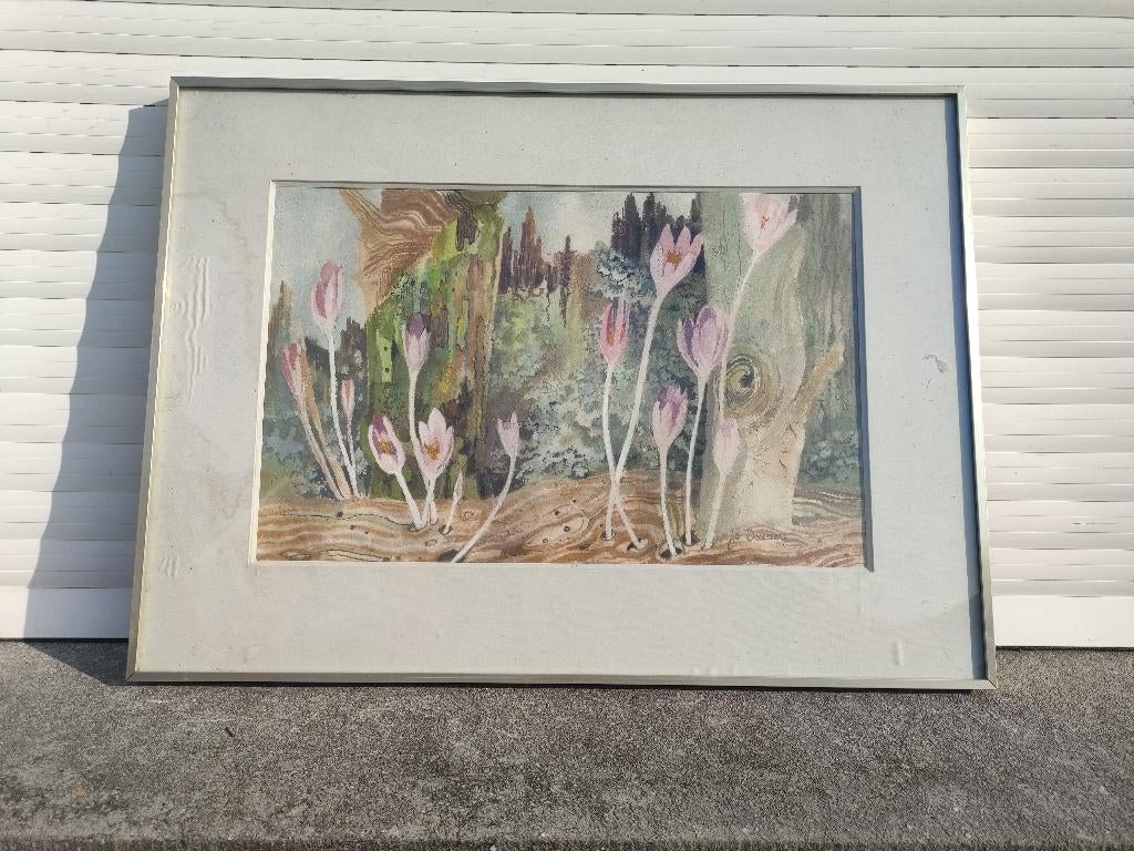 aquarelle signe jo dreessens, Antiek en Kunst, Kunst | Schilderijen | Klassiek, Ophalen of Verzenden
