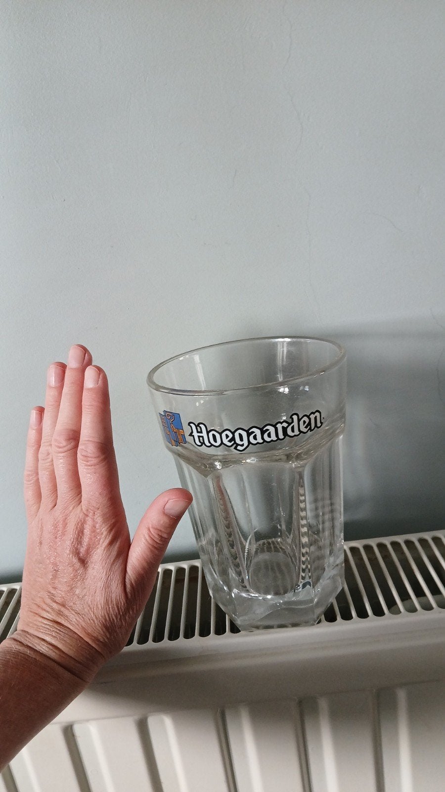 Grand verre Hoegaarden, Collections, Enlèvement, Comme neuf, Verre à bière