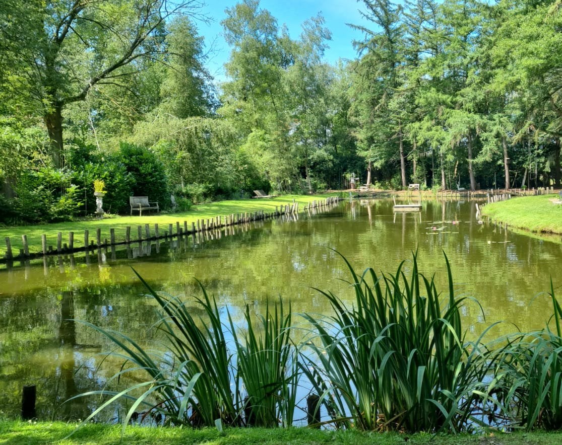 Vissen gezocht voor grote natuurvijver (1600 m²), Dieren en Toebehoren, Vissen | Vijvervissen