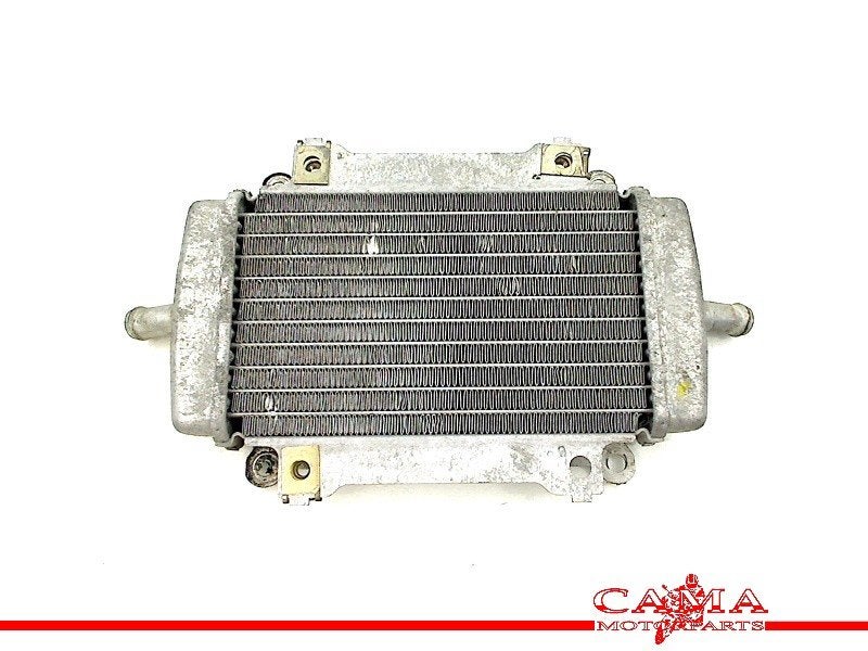 RADIATEUR GTS 300 2009-2013 (GTS300 Super ZAPM45200), Dhr. S. di Majo, Gebruikt, Info@cama-motorparts.nl, P.J. Troelstraweg 8 8
3144 CX  MAASSLUIS, NL