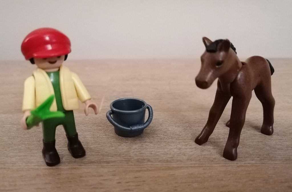 Playmobil 4647 Jongen met veulen, Zo goed als nieuw, Figuren, Overige series, Complete set