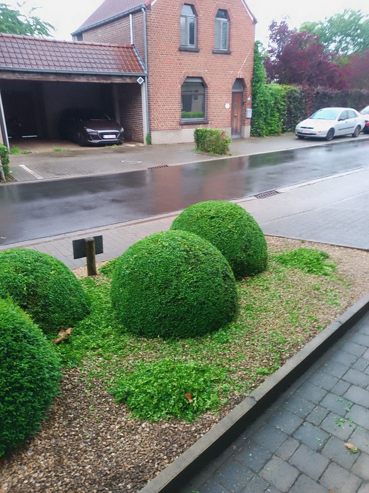 Snoeien,en aanplanten van alle soorten en vorm ,, Ophalen of Verzenden