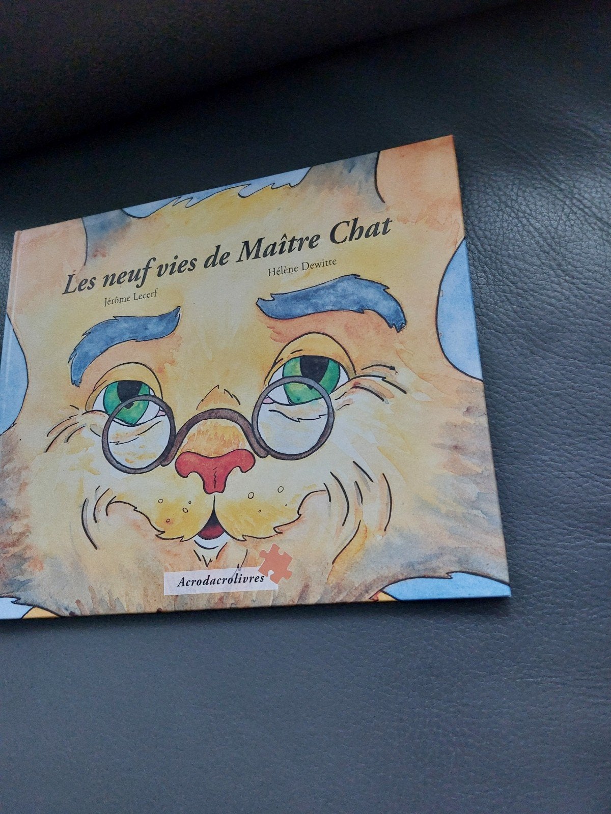 Les neuf vies de Maître chat, Livres, Enlèvement