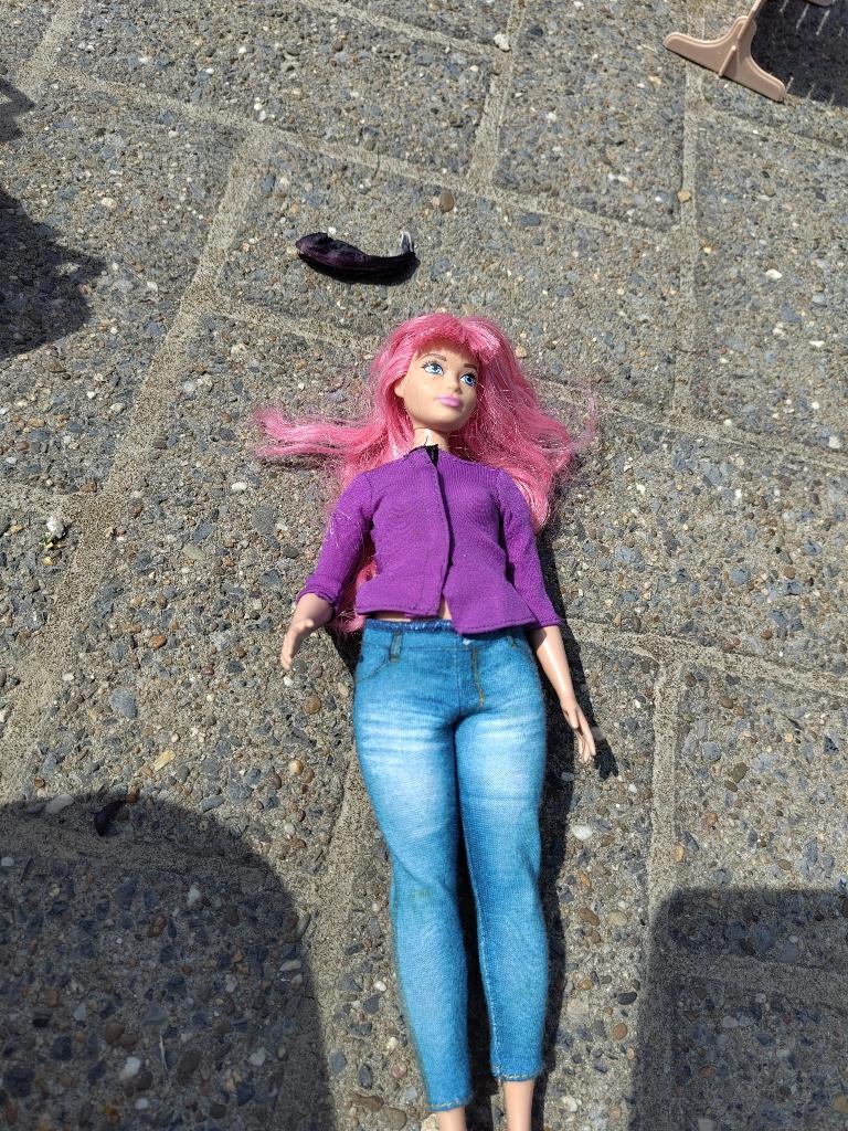 Barbiepoppen, Ophalen, Gebruikt, Barbie