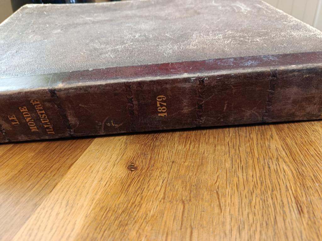 Livre ancien 1879, Enlèvement