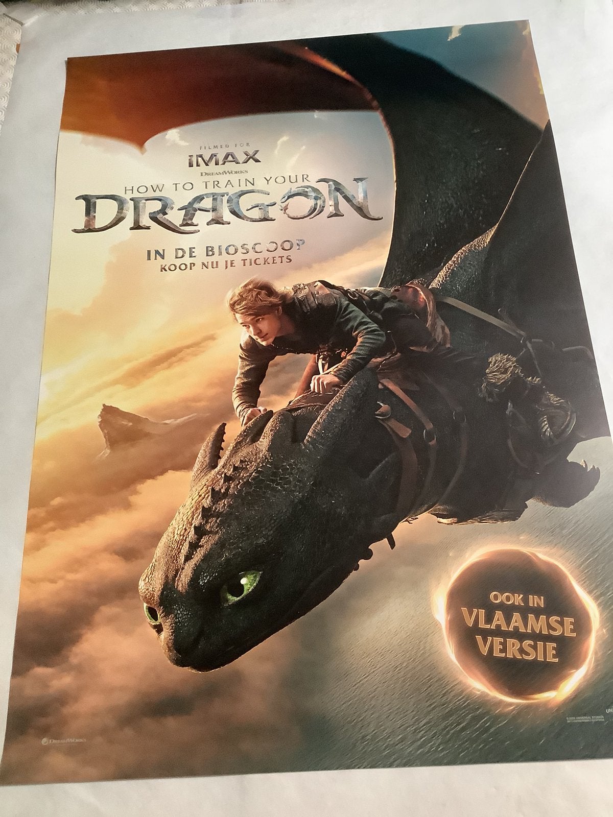 HOW TO TRAIN YOUR DRAGON  filmposter   70-100 cm, Ophalen of Verzenden, Zo goed als nieuw