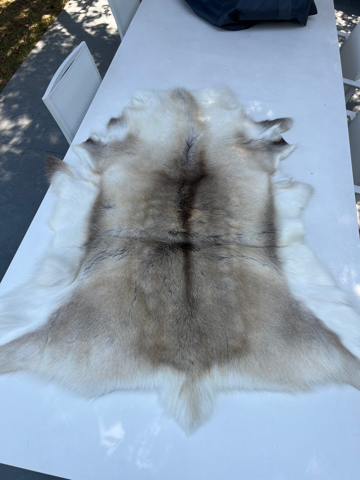 Twee authentieke rendiervellen uit Lapland, Ophalen, Gebruikt, 130 cm, 80 cm