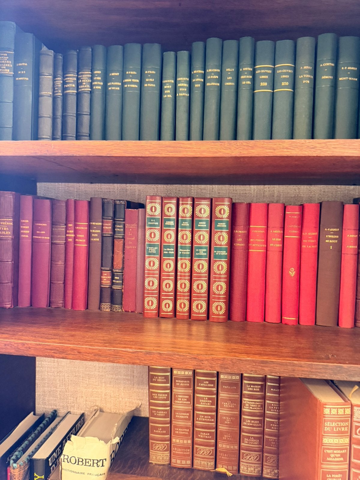 Lot zeer oude franse boeken - zeer decoratief - stuntprijs, Boeken, Ophalen, Gelezen