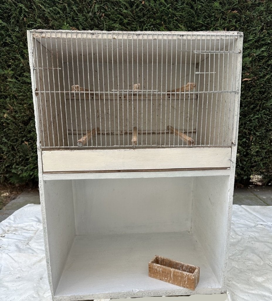 cage à oiseaux, Enlèvement, Cage à oiseaux