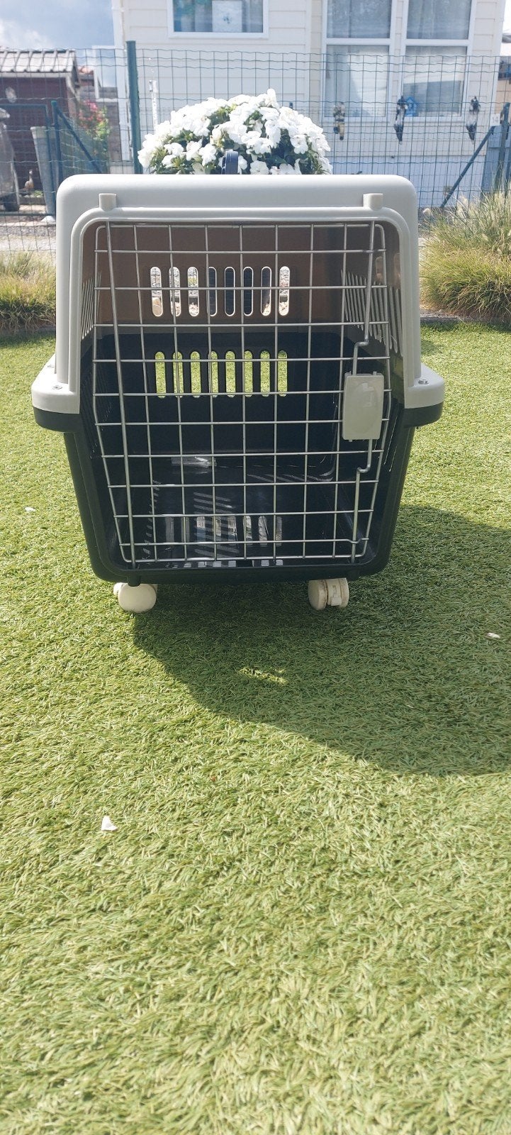 transportbox 1maal gebruikt, Dieren en Toebehoren, Transportboxen, Ophalen