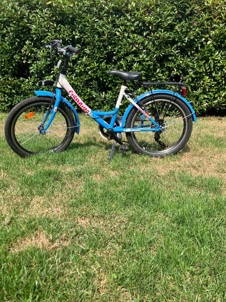 Meisjesfiets 20”, Fietsen en Brommers, Ophalen, Gebruikt, Ficarius, 20 inch