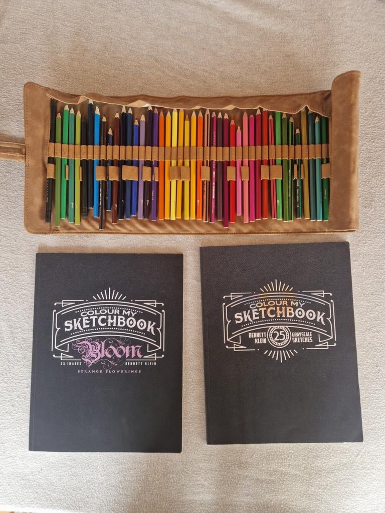 Schetskleurboeken met kleuren, Enlèvement ou Envoi