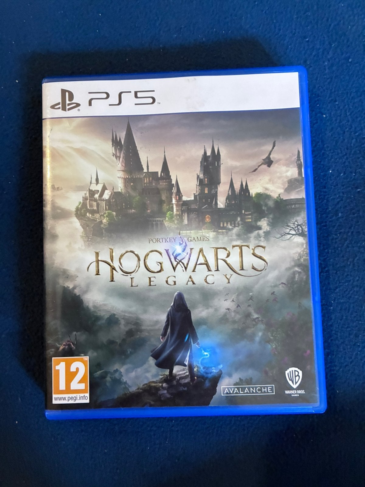 Hogwarts Legacy pour PS5, Consoles de jeu & Jeux vidéo, Enlèvement ou Envoi, Comme neuf
