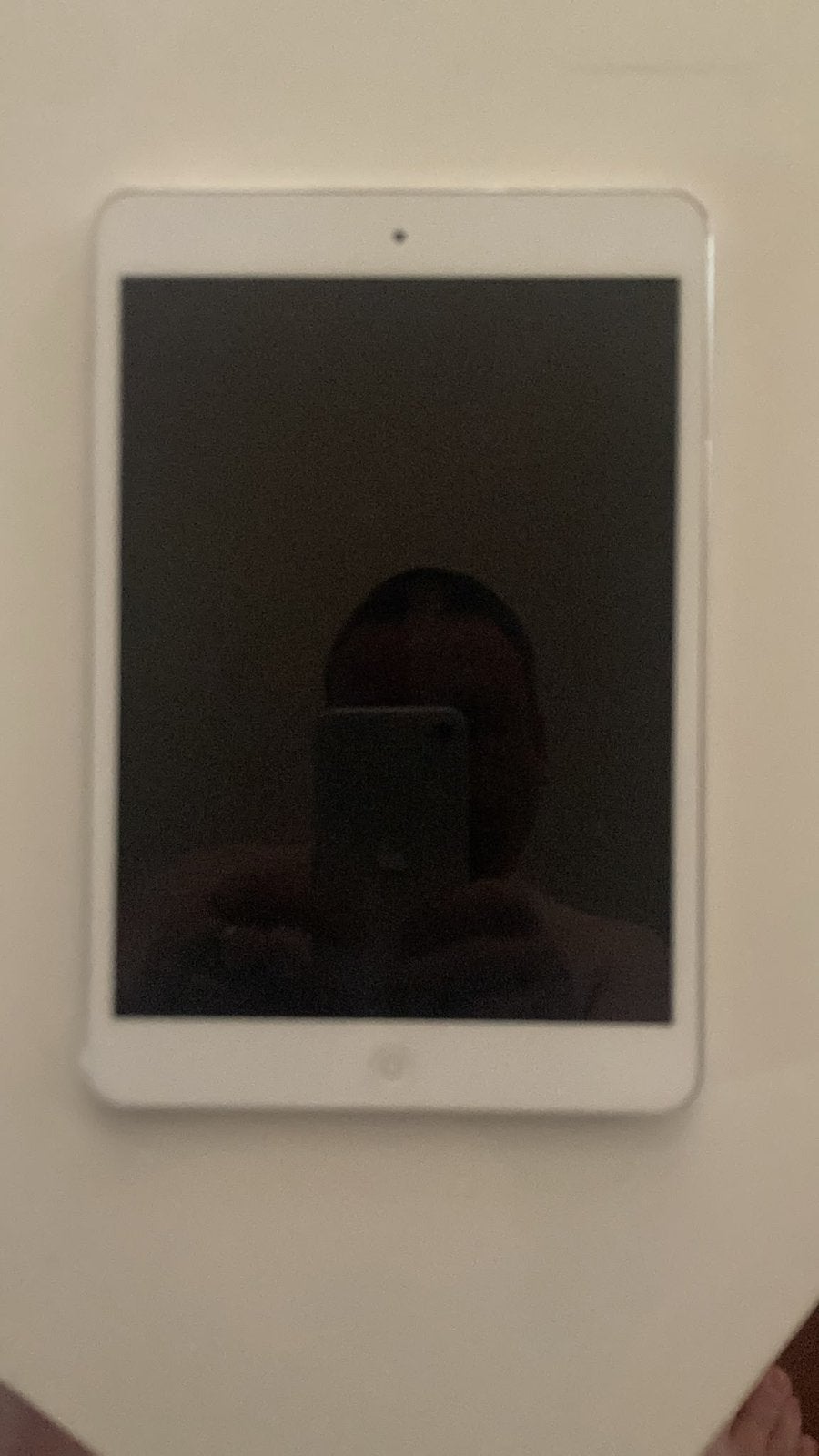 Ipad mini 2 met originele doos, Ophalen