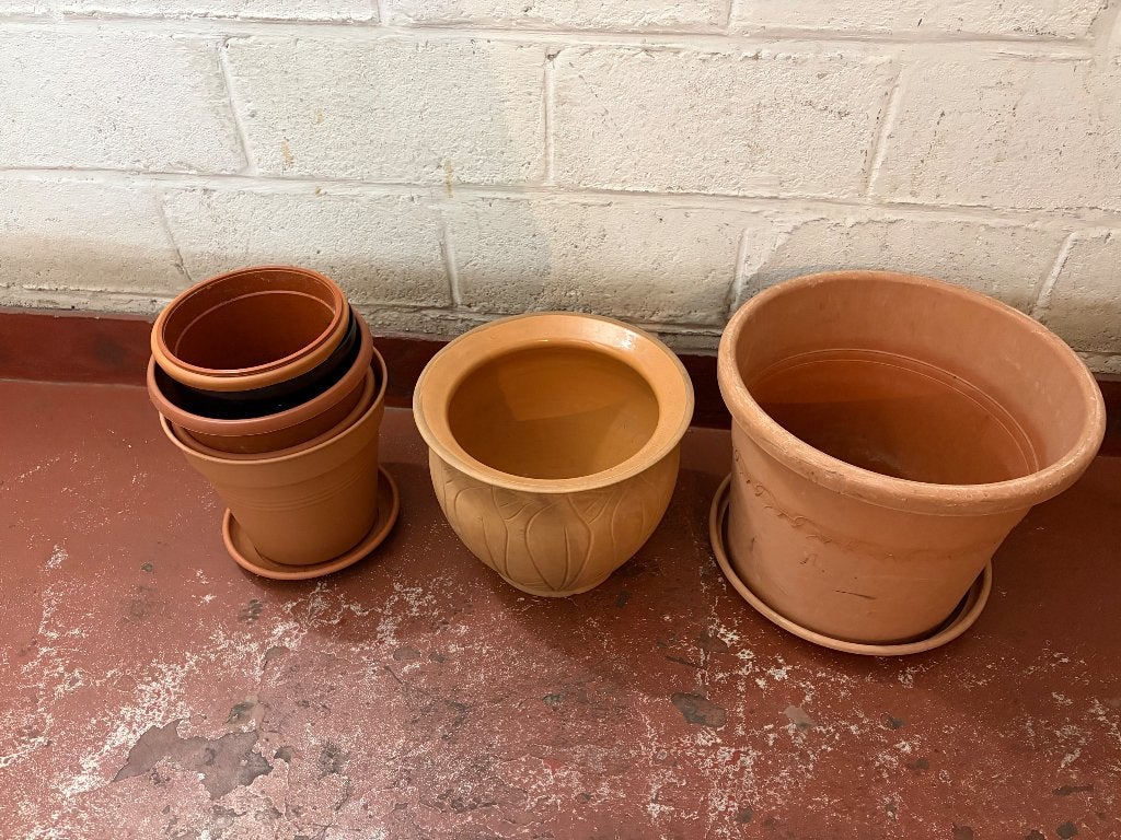 Cachepots, Enlèvement, Terracotta