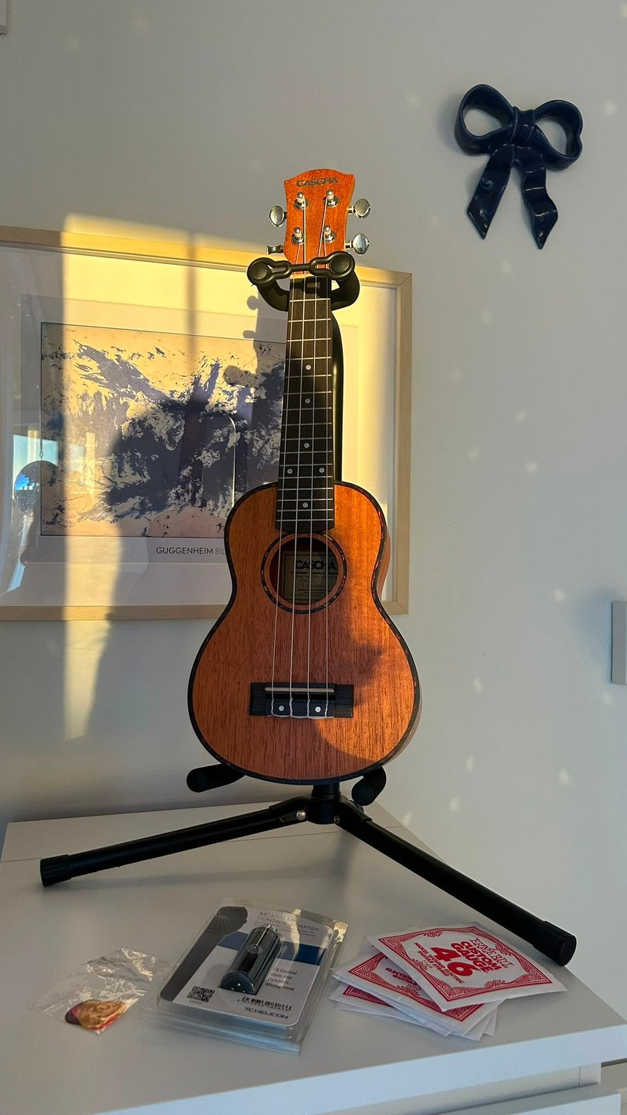 Ukelele, met bijhorende hoes, staander,….., Muziek en Instrumenten, Ophalen, Zo goed als nieuw