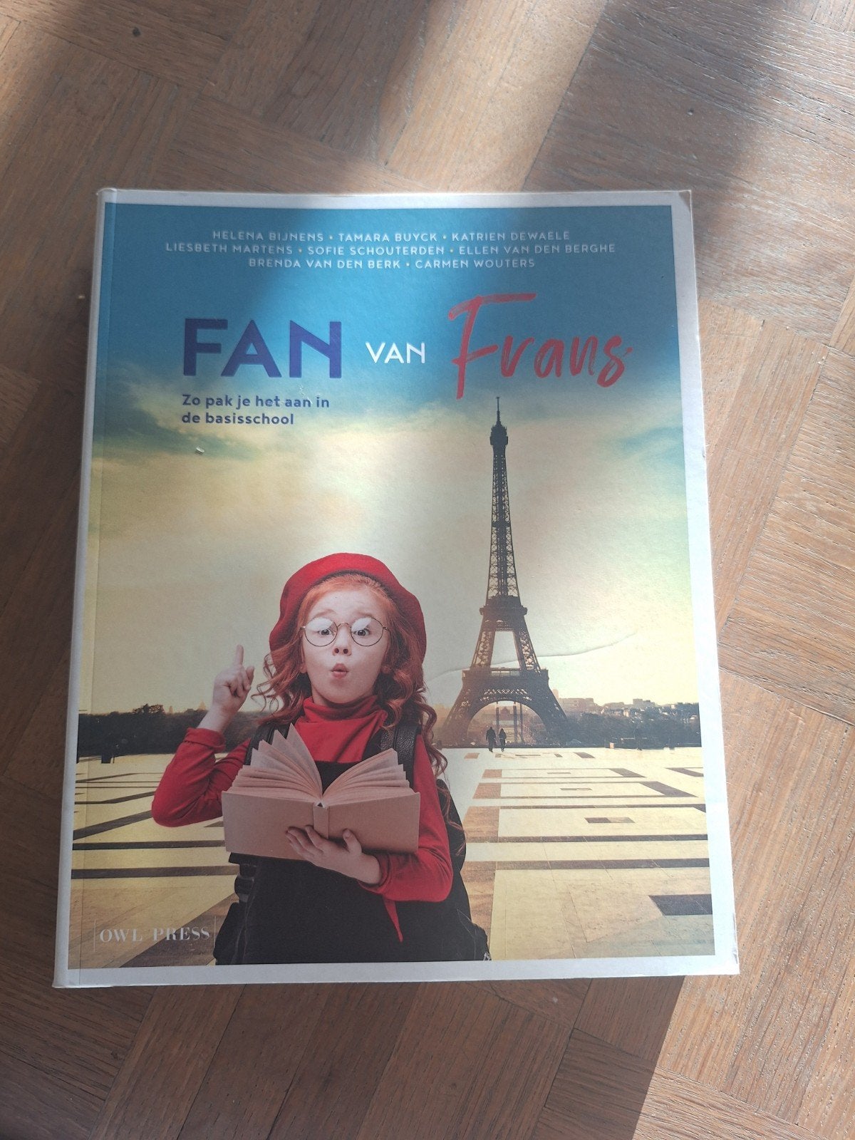 Fan van Frans opleiding lager onderwijs artevelde, Boeken, Ophalen of Verzenden, Frans