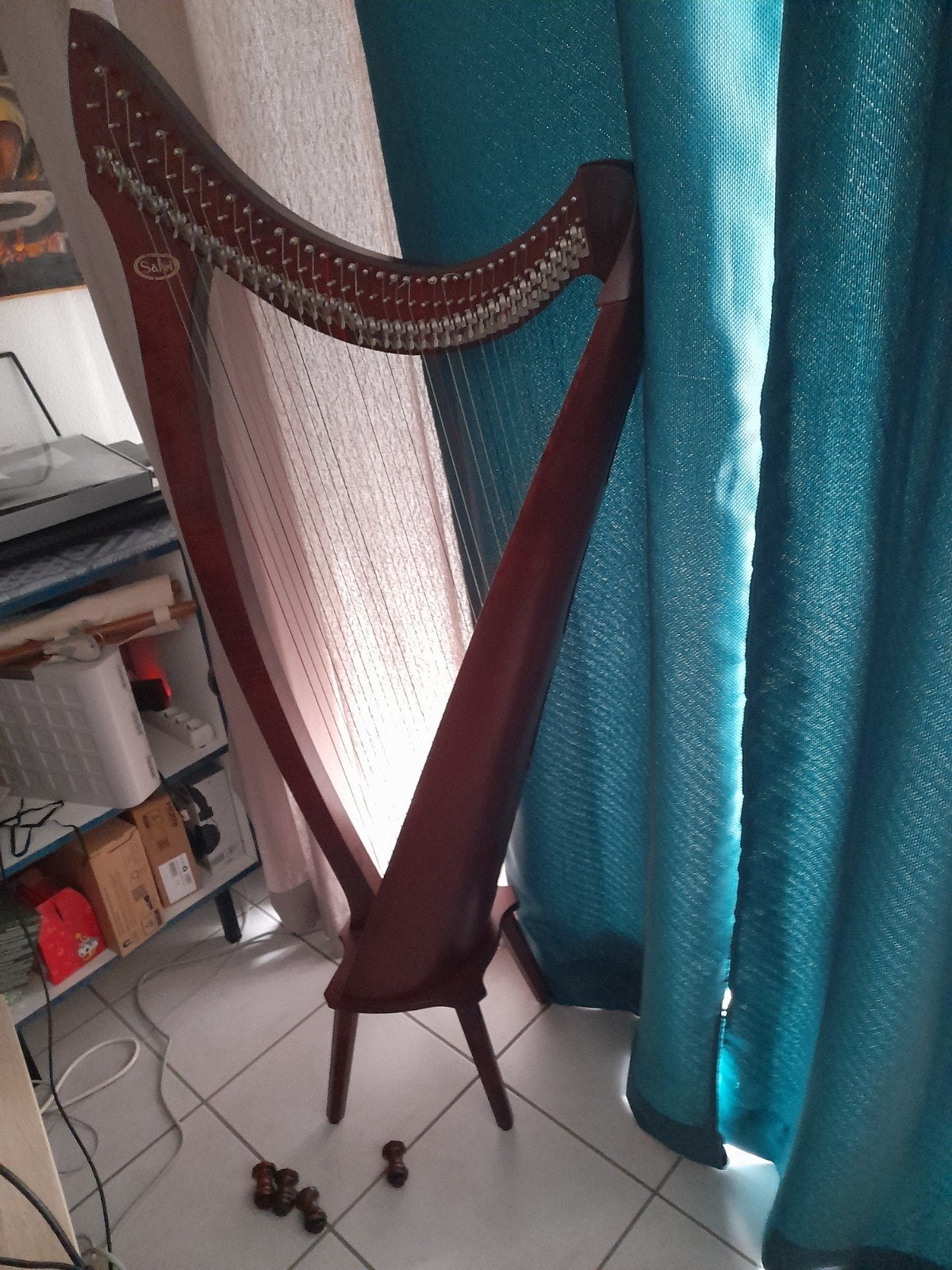 harpe Salvi Nicoletta, Enlèvement, Utilisé