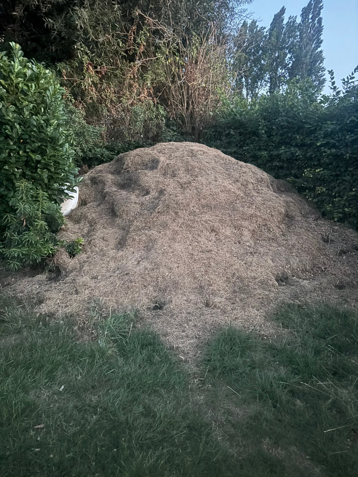 hooi/maaisel – zelf ophalen, Tuin en Terras, Aarde en Mest, Ophalen
