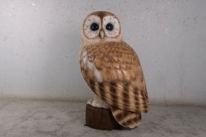 uil — Uilenbeeld van 153 cm hoog