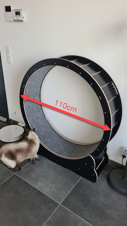 Roue d'exercice pour chat, Enlèvement, Comme neuf