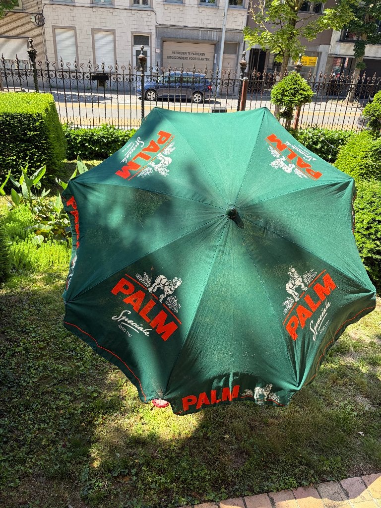 parasol Palm, Enlèvement, Utilisé, Autres types, Palm