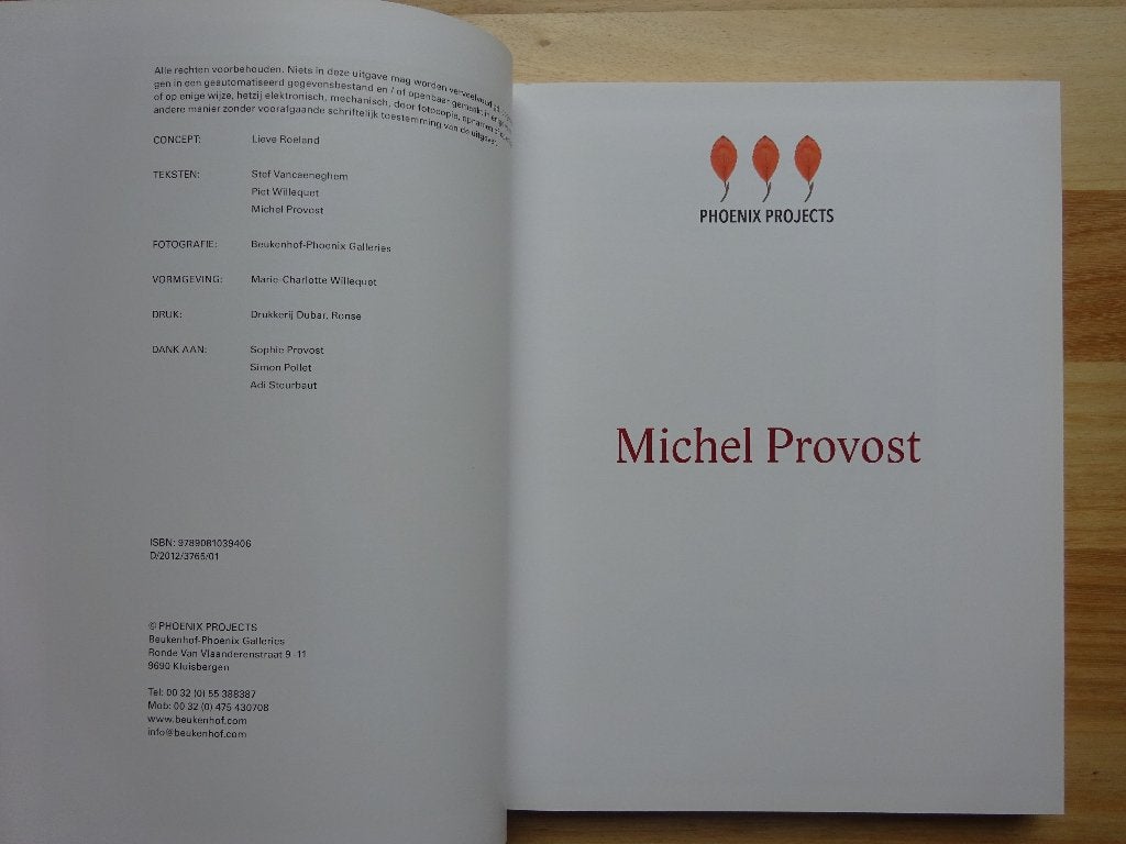 Michel Provost, Monografie, 2012 Phoenix Projects, Neuf, Peinture et dessin, Piet Willequet, Enlèvement ou Envoi
