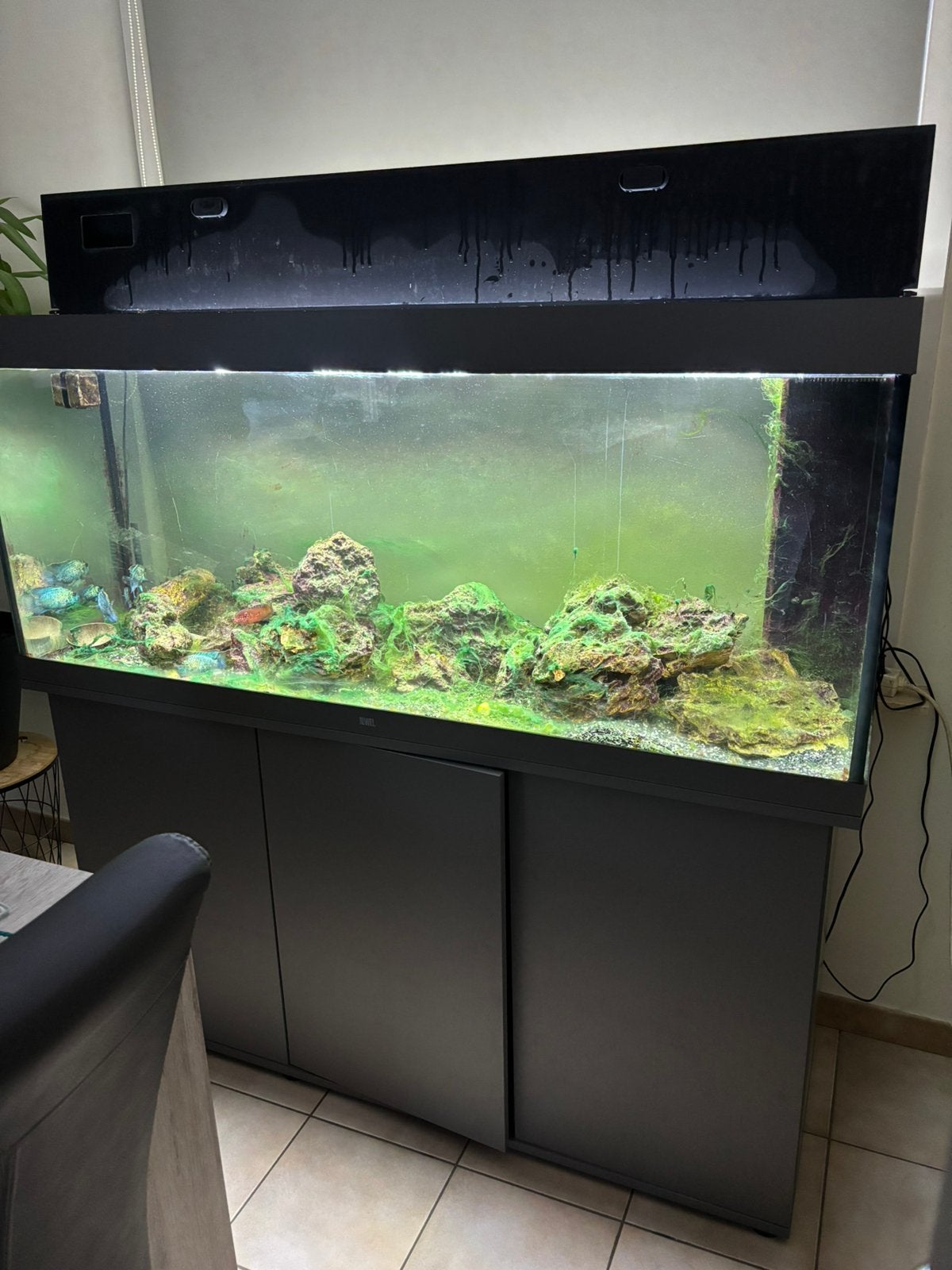 Aqaurium, Dieren en Toebehoren, Ophalen of Verzenden, Zo goed als nieuw