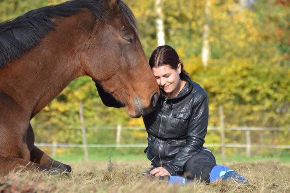 Maatje gezocht - Paardenweide in Merksplas, Dieren en Toebehoren, Weidegang, 2 of 3 paarden of pony's