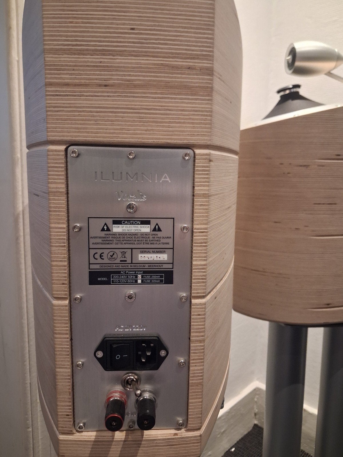 Ilumnia Vocalis., Enlèvement ou Envoi