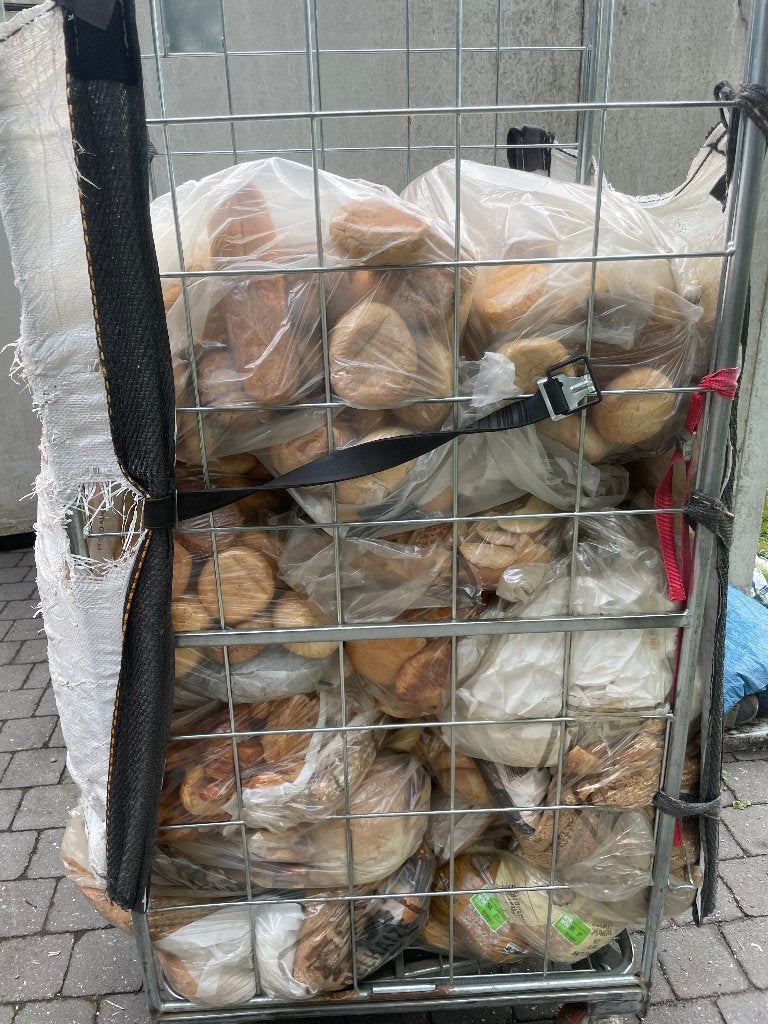 Brood