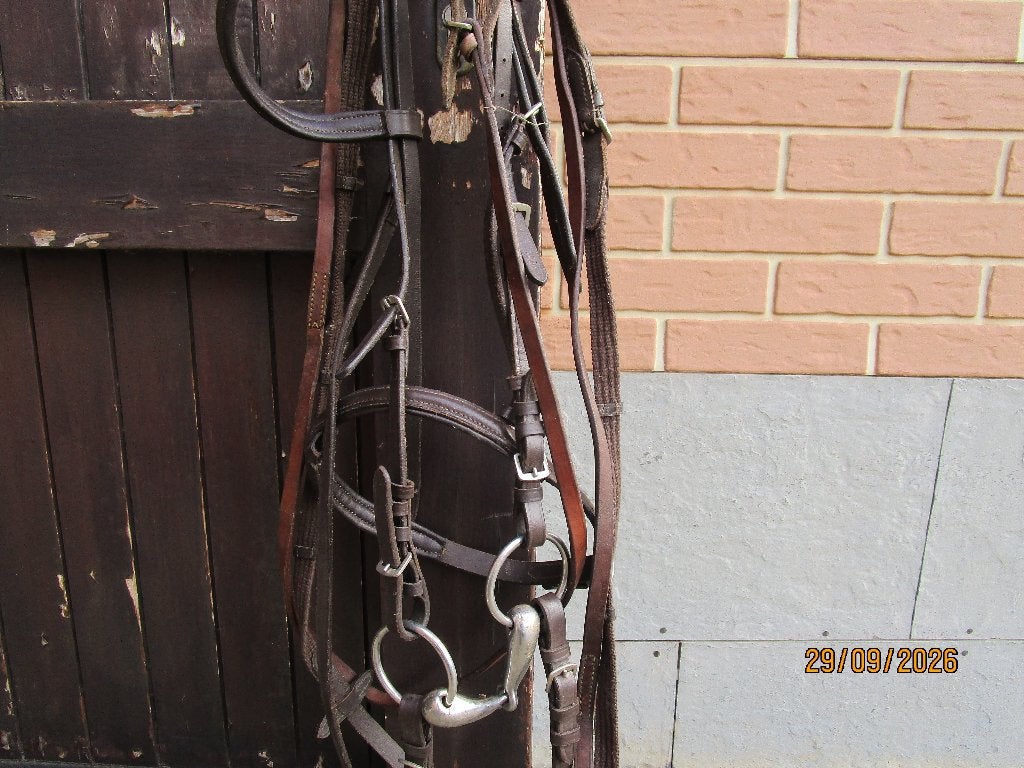 hoofdstel, Dieren en Toebehoren