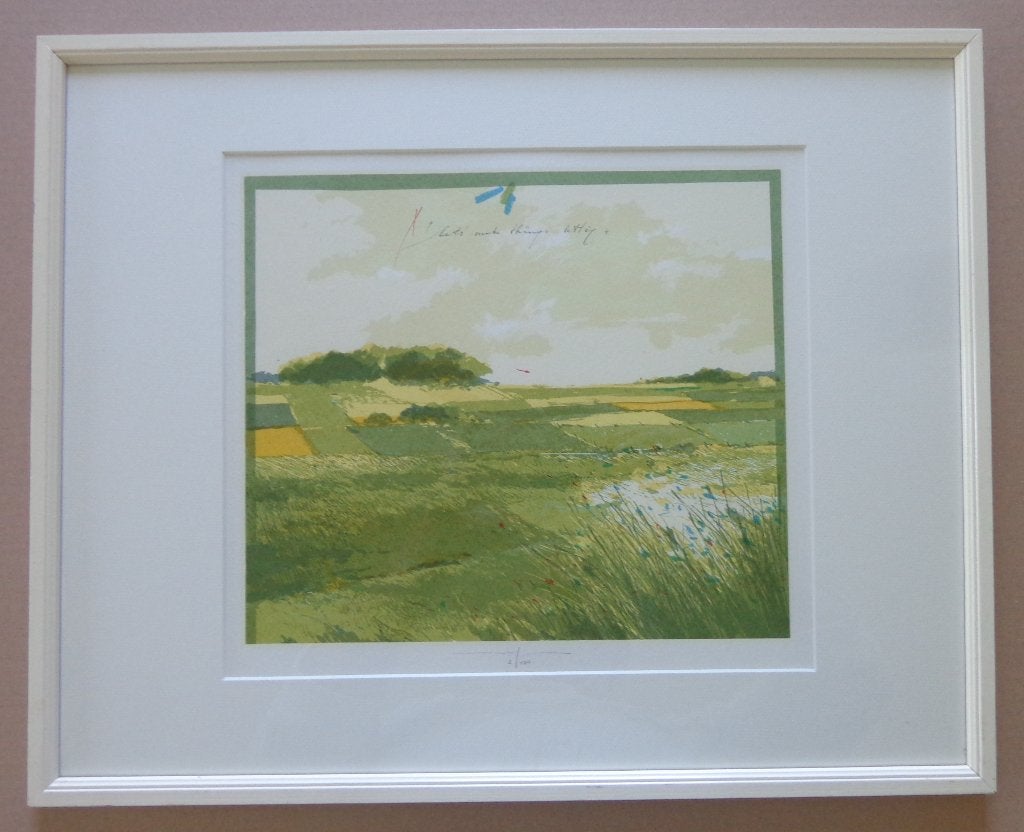 MARTIN R. BAEYENS / THINGS BETTER / KLEURLITHO 42x52cm KADER, Antiek en Kunst, Gesigneerd, Ophalen of Verzenden