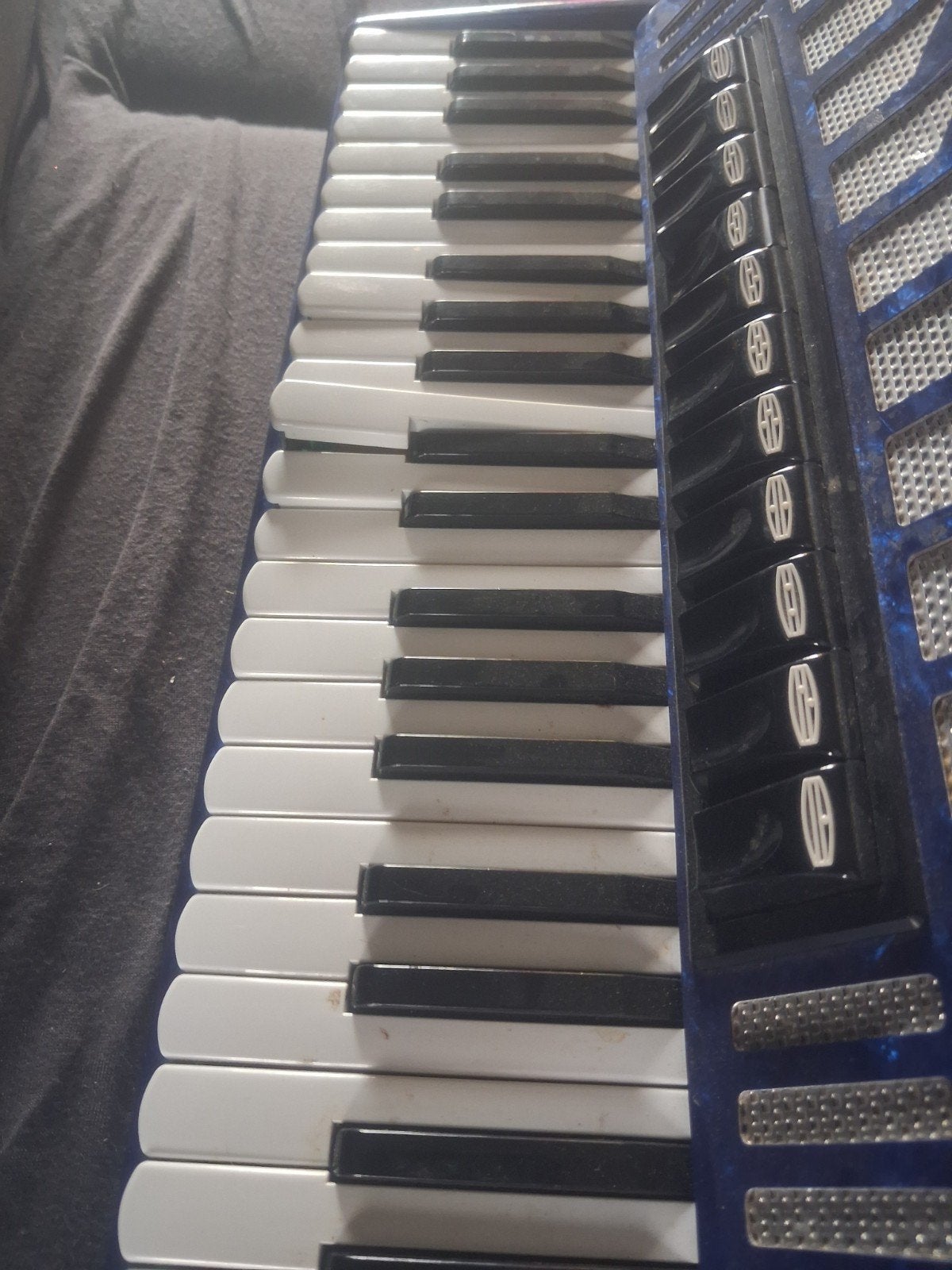 Accordeon, Musique & Instruments, Accordéons, Enlèvement