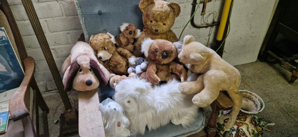 Lot de peluches, Enlèvement