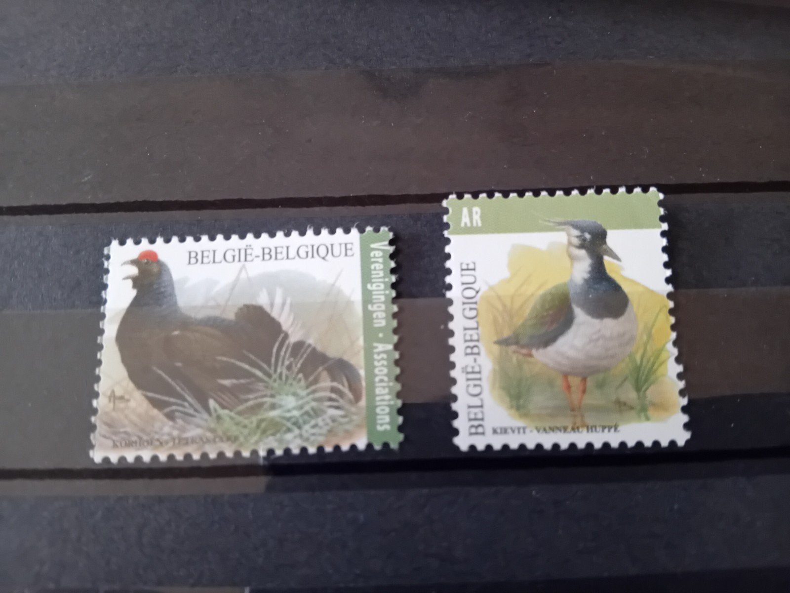 Timbres de Belgique n 4305 et 4367 lot 654B, Envoi, Neuf
