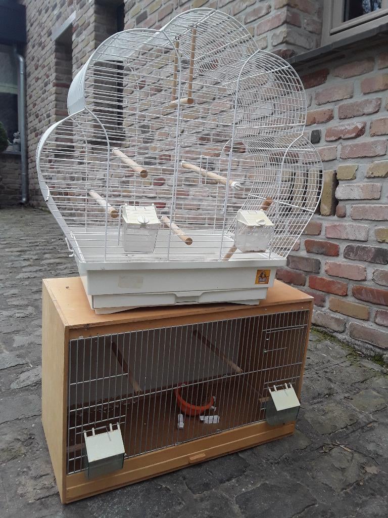 Vogelkooi met benodigdheden, Dieren en Toebehoren, Vogels | Hokken en Kooien, Ophalen, Gebruikt, Metaal, Vogelkooi