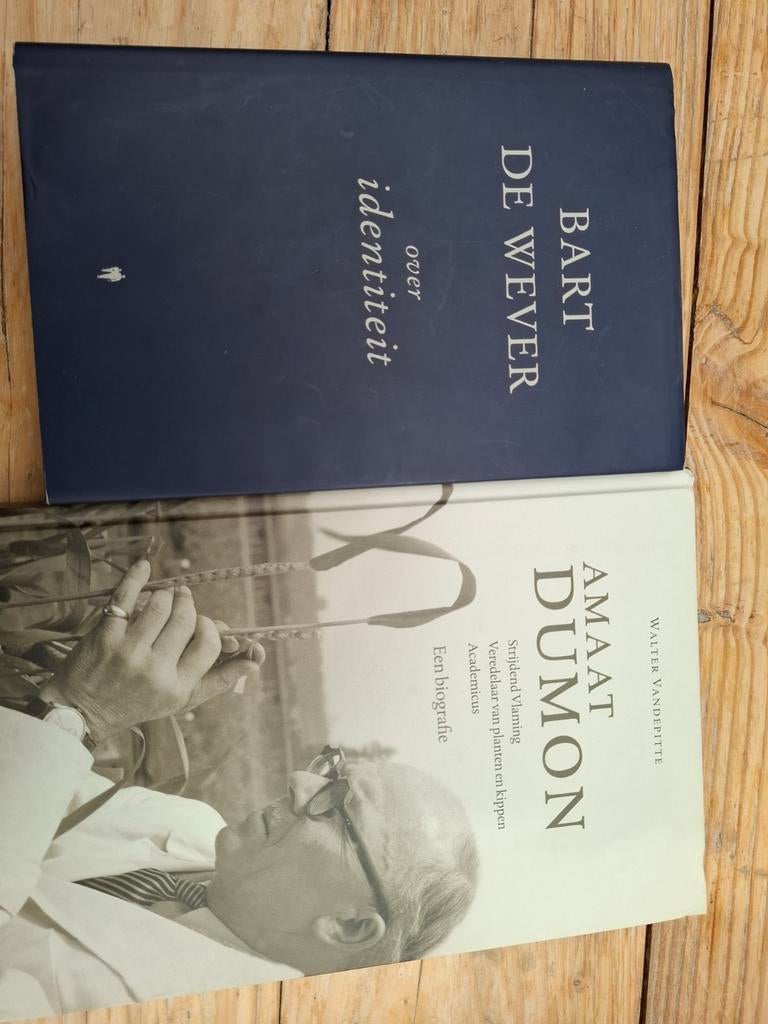 Boeken over Bart De Wever en Amaat Dumon, Boeken, Ophalen