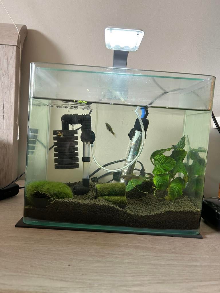Aquarium te koop, Ophalen