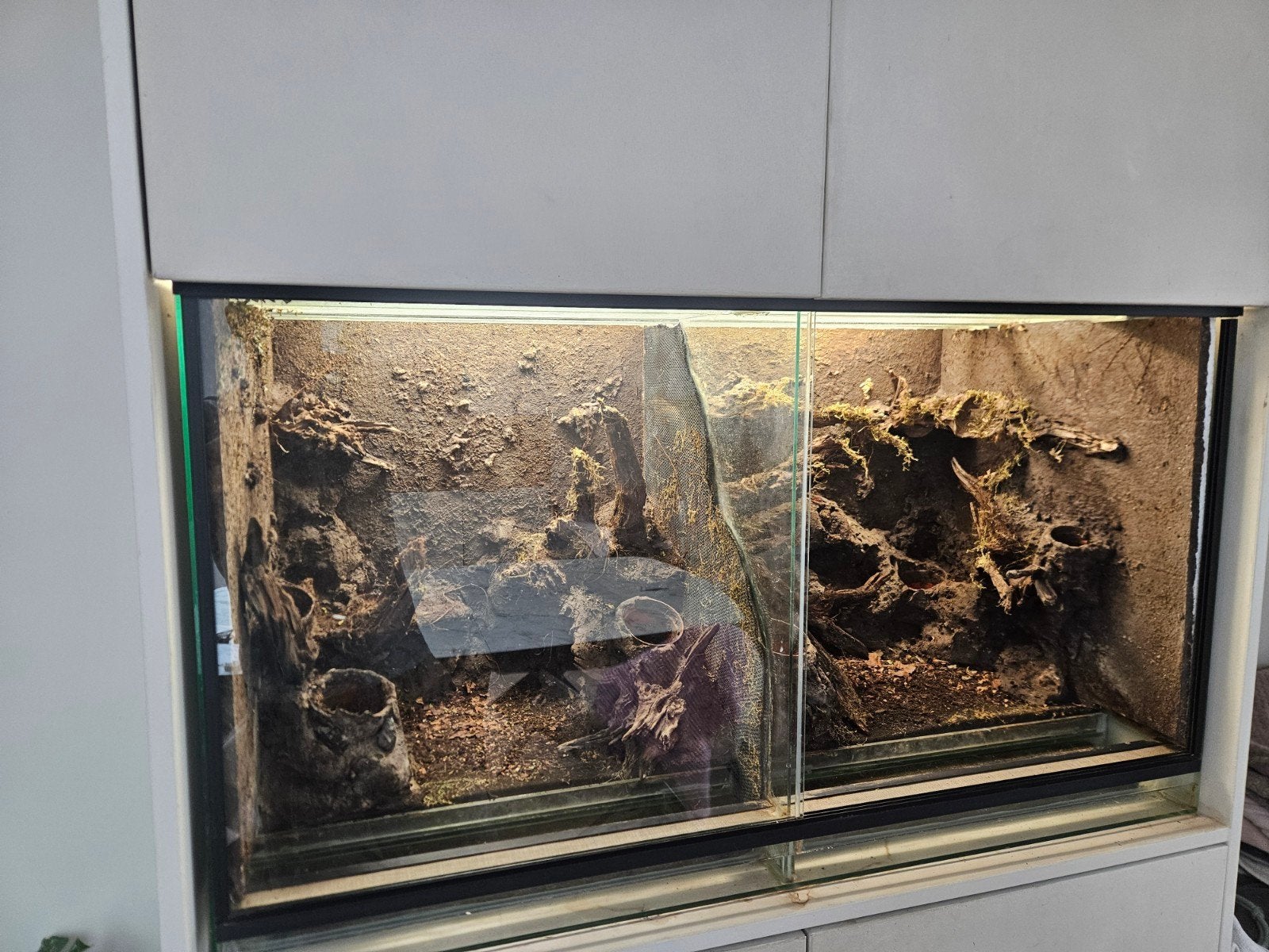 Paludarium Rana, Dieren en Toebehoren, Ophalen, Verlichting