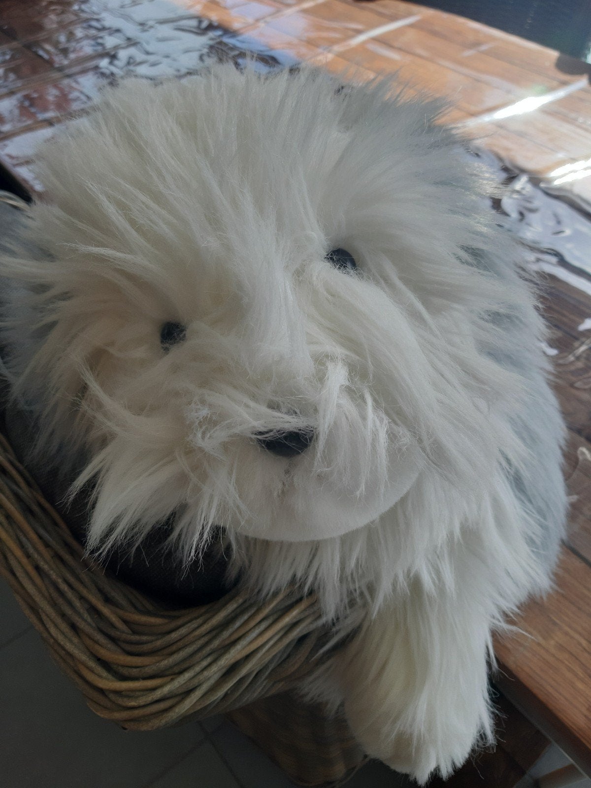 Samson hond., Enfants & Bébés, Jouets | Peluches, Enlèvement, Chien